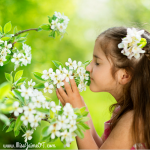Your sense of smell can determine your mood and your ability to focus!
