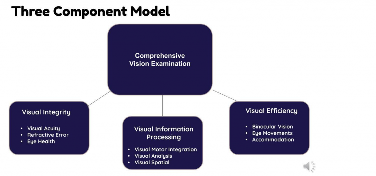 Uncovering Hidden Vision Deficits in the Classroom - Miss Jaime, O.T.
