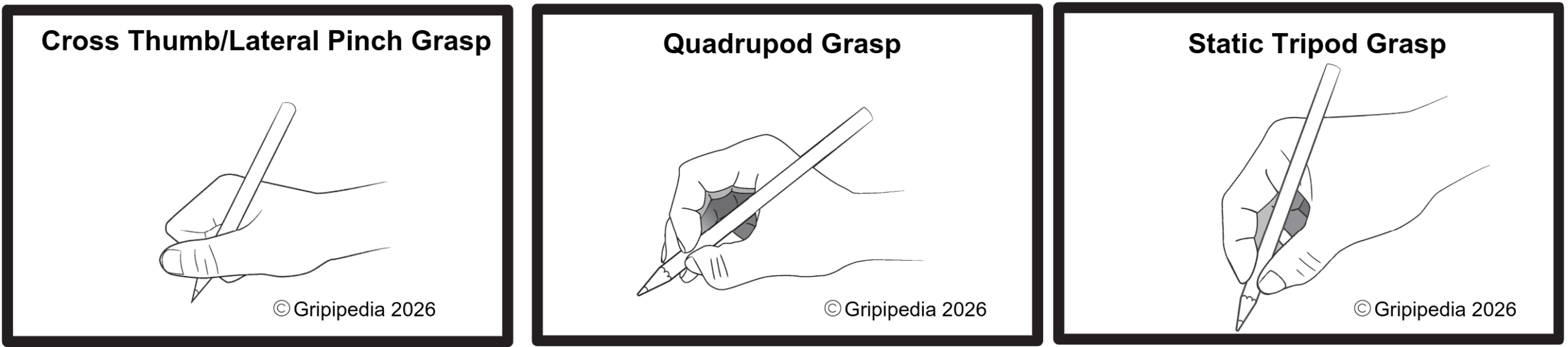 Cross Thumb/Lateral Pinch Grasp - Quadrupod Grasp - Static Tripod Grasp