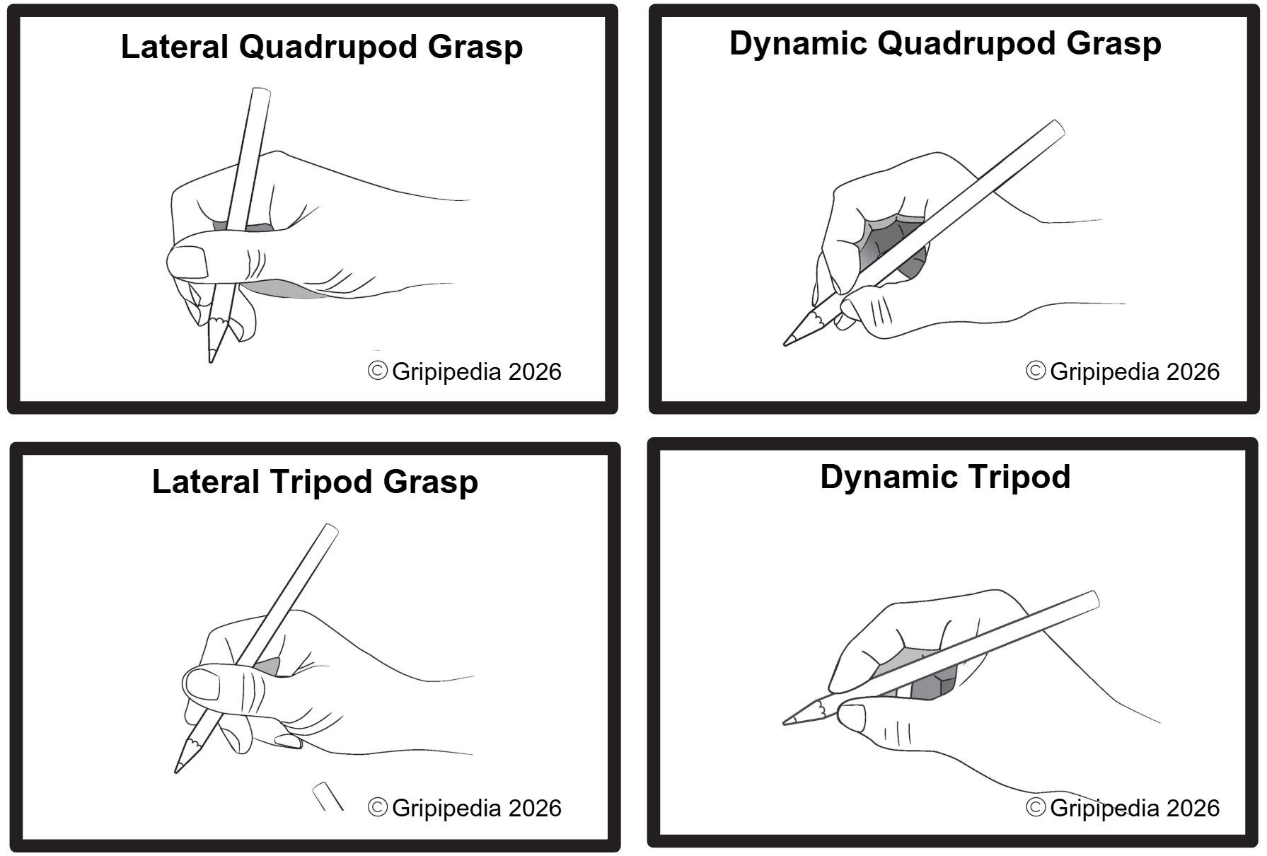 lateral quadrupod - dynamic quadrupod - lateral tripod - dynamic tripod