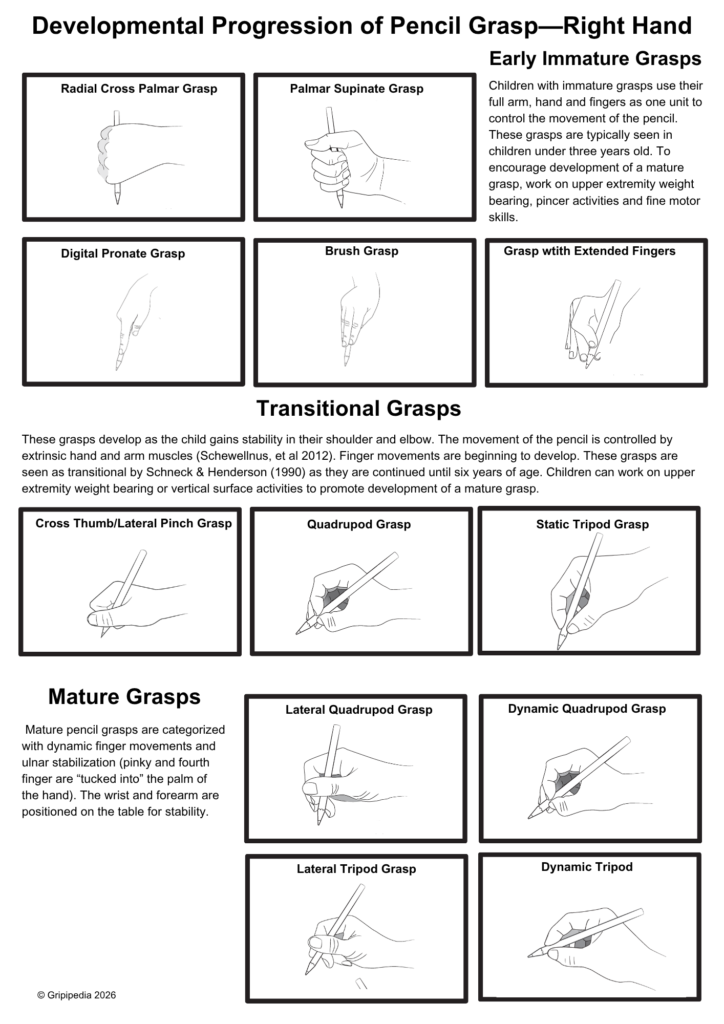 Track your child's pencil grasp development with this visual guide to Age-by-Age Fine Motor Milestones. Learn what's normal and when to actually be concerned.
