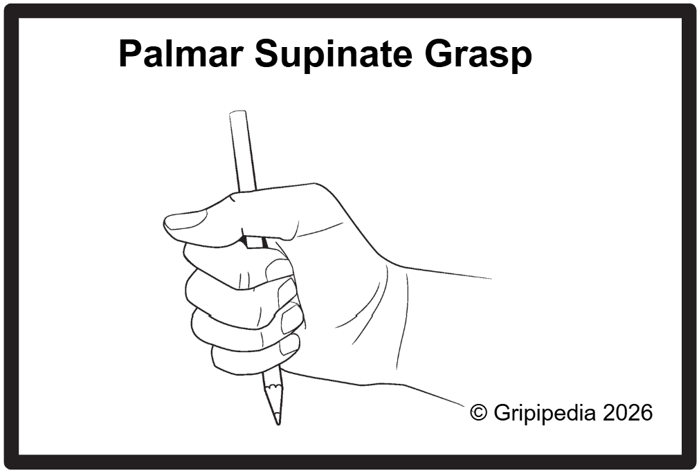 Palmer Supinate Grasp